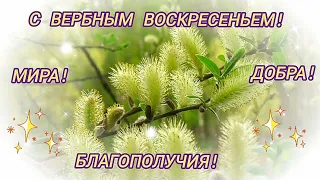 С Вербным воскресеньем!Мира! Добра!Благополучия!🌺🕊🌺