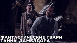 Фантастические твари: Тайны Дамблдора / Fantastic Beasts [обзор на фильм] АНОНС, СЮЖЕТ, АКТЕРЫ