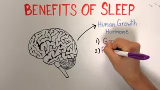 Sleep 1: Importance and Benefits of Sleep