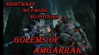 Dragon Age Origins Golems of Amgarrak FULL Playthrough WAR MAGE(Nightmare, No pause, No potions)