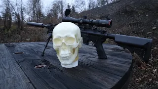 5.56 vs Human head