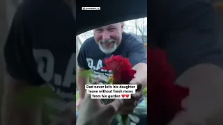 Dad never let's his daughter leave without fresh roses from his garden ❤️❤️