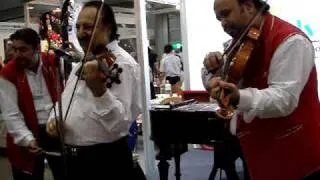 Hungarian gypsy music #1