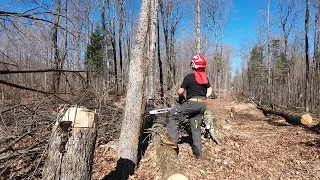 751 Clearing The Widow Makers. IGLAND 3501 Skidding Winch. STIHL. Kubota. Hung Trees.   4K