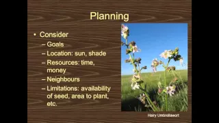 Natural Urban Landscapes How to Grow Native Plants in Saskatchewan