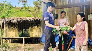 Harvesting vegetables to sell - Came to visit Mother but was chased away - Build a Bamboo House