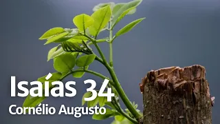 Bíblia Falada | Isaías 34