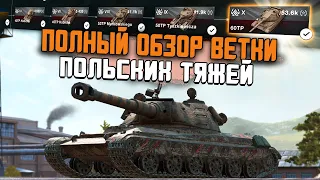 КАЧАЙ ПОКА НЕ ПОНЕРФИЛИ! Все что НУЖНО ЗНАТЬ про Польскую ветку с 60ТР / Wot Blitz