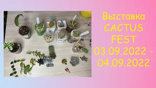 Выставка суккулентов и кактусов КАКТУС ФЕСТ 03.09.2022 // CACTUS FEST 03.09.2022 2022 // Мои покупки