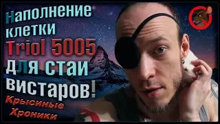 Наполнение клетки для крыс, "Triol 5005" под вистаров. (Fancy Rats | Декоративные Крысы)