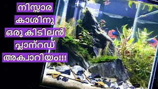 Low tech | Non co2 | Planted Aquarium | How To Set Up Planted Tank | Tutorial