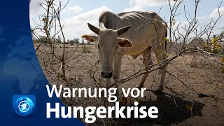 Helfer warnen vor Hungerkrise in Ostafrika