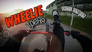 ЛАЙТОВАЯ ТРЕНЕРОВКА | ОБУЧАЮСЬ WHEELIE В 30 ЛЕТ | LEVABIKER