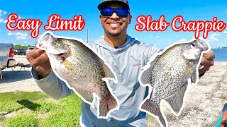 Lake Somerville is LOADED with NICE CRAPPIE | Limited Out Catching Crappie On A KAYAK