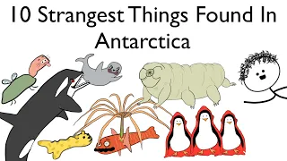 10 Strangest Things Found in Antarctica