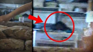 5 Strange Videos That'll Creep You Out