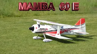 Flex Innovations Mamba 60 E