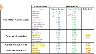 Ch.3 Amino Acid part 3 protonated and deprotonated amino acids based on pka