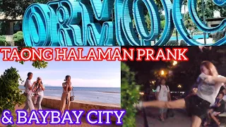 TAONG HALAMAN PRANK: BAYBAY & ORMOC CITY". A MERMAID SLAP &  KICK ME. 😁