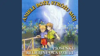 Aniele strózu mój