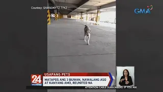 24 Oras: Matapos ang 3 buwan, nawalang aso at kanyang amo, reunited na