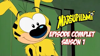 Chiquitoland et l'Ami Mystérieux du Marsupilami | EPISODE COMPLET 11-12 | Marsupilami en Français