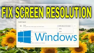 How to Fix Screen Resolution Problem Windows 10/11 [Easy Method]