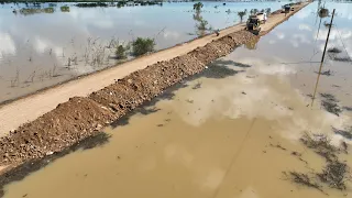 Wow Incredible Action Of SHANTUI Bulldozer Pushing Stones Repair The Road With Heavy Trucks