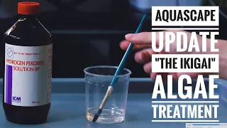 Aquascaping Tips: Algae Treatment with H2O2 (Hydrogen peroxide, 3%) | "The Ikigai" Nano Planted Tank