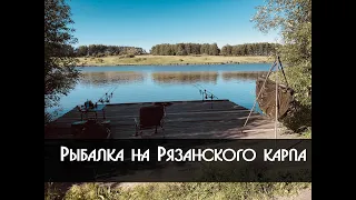 Рыбалка на Рязанского карпа. Карпфишинг.