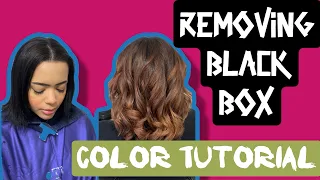 Removing Black Box Color Tutorial Correction How to Use Schwarzkopf Color Remover and Malibu CPR