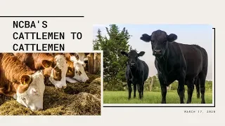 NCBA's Cattlemen to Cattlemen – March 17, 2020