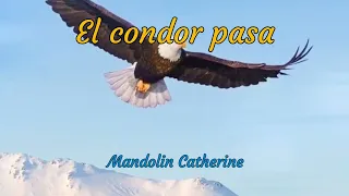 El condor pasa/철새는 날아가고/만돌린 Cover