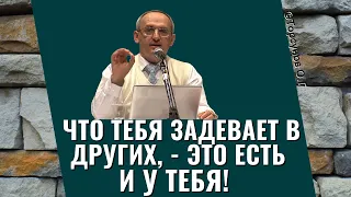 Что тебя задевает в других, - это есть и у тебя! Торсунов лекции