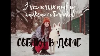 3 НЕГЛАСНЫХ ПРАВИЛА ЭТИКЕТА СОБАЧНИКОВ, КОТОРЫЕ НУЖНО СВЯТО СОБЛЮДАТЬ | СОБАКА В ДОМЕ