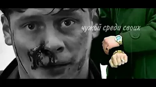 белый/пчёла | чужой среди своих [бригада]