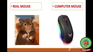 SIMILARITIES BETWEEN REAL MOUSE AND COMPUTER MOUSE|Class 1 |Computer|Holy Heart Schools