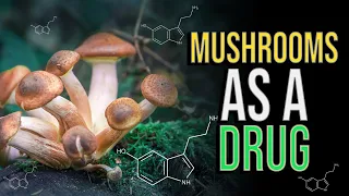 Unpacking the Hype Around microdosing mushrooms – Must watch!!!  positive energy 100