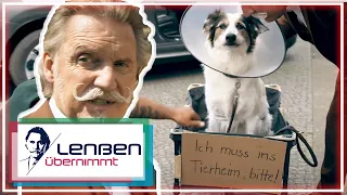 Hundehasser: "Der will unseren Hund umbringen!!" | 2/2 | Lenßen übernimmt | SAT.1