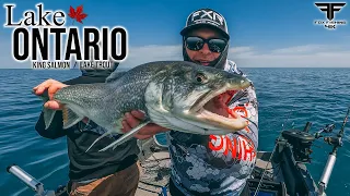 How to CATCH KING SALMON and LAKE TROUT on LAKE ONTARIO.