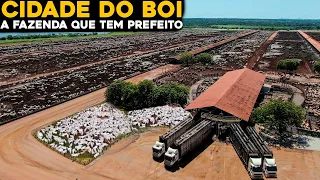 ESSA FAZENDA É TÃO GRANDE QUE TEM ATÉ PREFEITO - A CIDADE DO BOI!