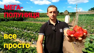 Екскурсія по городу! Деякі нюанси вирощування!