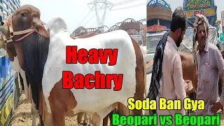 Beopari Vs Beopari 500 Kay Peachy Soda Chorny Laga Tha Multan Mandi Kay Heavy Bachry @SSTvs