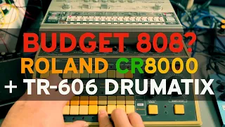 A Budget 808? - Roland CR8000 Rhythm composer with a TR-606