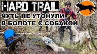 HARD TRAIL КАНИКРОСС ПО БОЛОТАМ / Хаски чуть не утонула в болоте