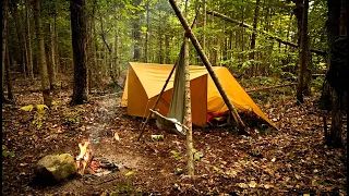 Campout with my New Dog-The ULTIMATE 10x10 Tarp Shelter Setup and Bacon over the Fire - Fall Colors