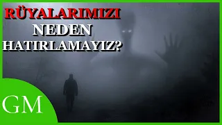 Rüyalarımızı Neden Hatırlamayız | Rüyalarımızı Hatırlayabilmek İçin Neler Yapılabilir?