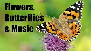 Flowers, Butterflies and Calming Music