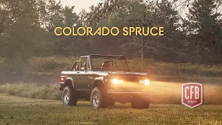 Classic Ford Broncos Presents - Colorado Spruce on Location