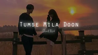 Tumse Mila Doon  | Double XL | Slowed Reverb | Javed Ali | Slowdict